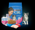 cat chow gatito 8kg